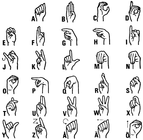 Some Facts about Sign Language and Interpreting